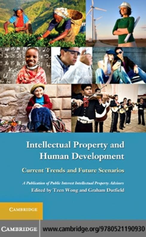 Intellectual Property And Human Development Current Trends And Future Scenarios Tzen Wong