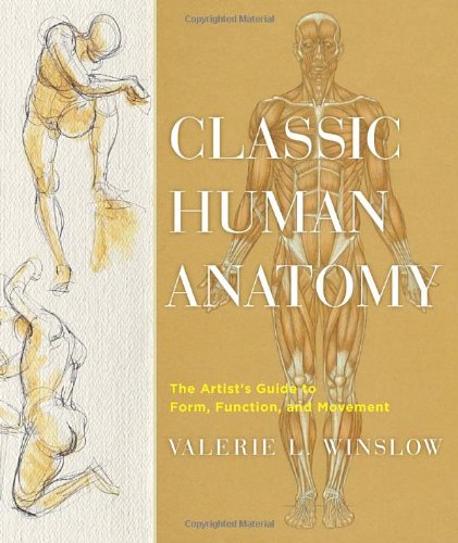 Classic Human Anatomy The Artists Guide To Form Function And Movement Valerie L Winslow