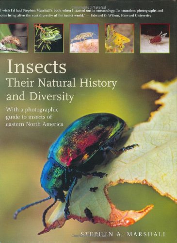 Insects Their Natural History And Diversity With A Photographic Guide To Insects Of Eastern North America Updated Stephen Marshall