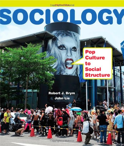 Sociology Pop Culture To Social Structure 3rd Edition Robert J Brym