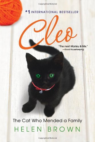 Cleo The Cat Who Mended A Family Helen Brown