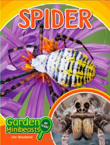 Spider 1st Edition John Woodward