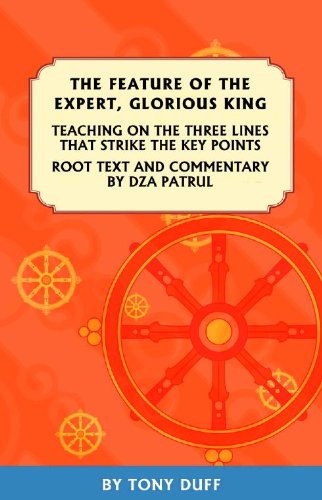 Feature Of The Expert Glorious King Also Known As The Three Lines That Strike The Key Points And Autocommentary By Patrul Rinpoche Tony Duff