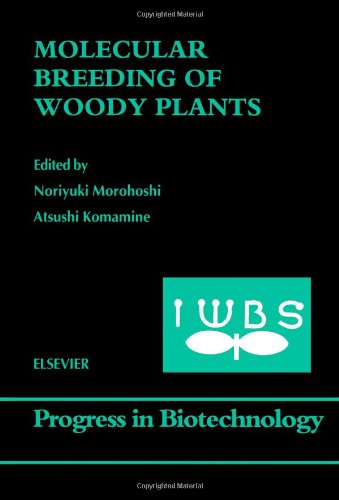 Molecular Breeding Of Woody Plants Volume 18 1st Edition N Morohoshi
