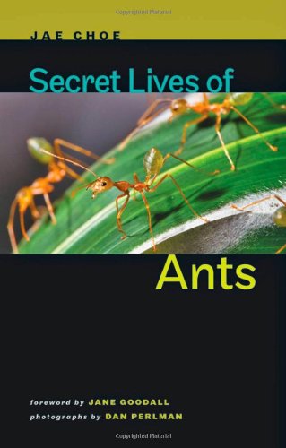Secret Lives Of Ants Reissue Jae Choe Dan Perlman Jane Goodall