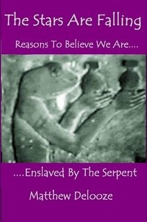 The Stars Are Falling Reasons To Believe We Are Enslaved By The Serpent Matthew Delooze