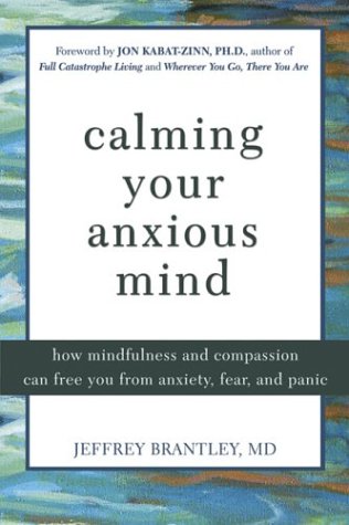 Calming Your Anxious Mind How Mindfulness And Compassion Can Free You From Anxiety Fear And Panic Jeffrey Brantley