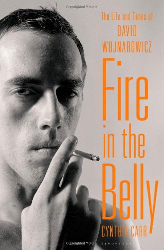 Fire In The Belly The Life And Times Of David Wojnarowicz Cynthia Carr
