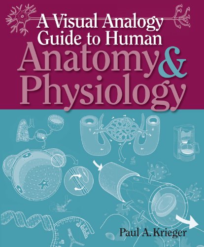 A Visual Analogy Guide To Human Anatomy Physiology 1st Paul A Krieger