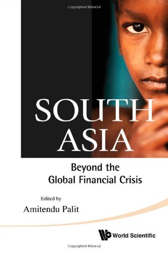 South Asia Beyond The Global Financial Crisis 1st Edition Amitendu Palit