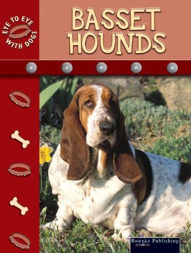 Bassett Hounds Lynn M Stone