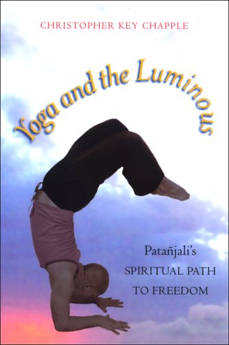 Yoga And The Luminous Christopher Key Chapple