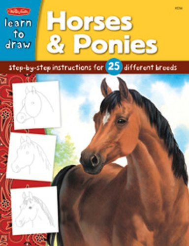 Draw And Color Horses Ponies Quayside
