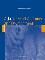 Atlas Of Heart Anatomy And Development 1st Edition Florin Mihail Filipoiu Auth