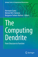 The Computing Dendrite From Structure To Function 1st Edition Benjamin Torbennielsen