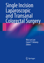 Single Incision Laparoscopic And Transanal Colorectal Surgery 1st Edition Skandan Shanmugan Md Auth