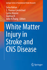 White Matter Injury In Stroke And Cns Disease 1st Edition Alexander Velumian