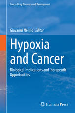 Hypoxia And Cancer Biological Implications And Therapeutic Opportunities 1st Edition Luana Schito