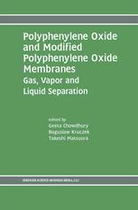 Polyphenylene Oxide And Modified Polyphenylene Oxide Membranes Gas Vapor And Liquid Separation 1st Edition Allan S Hay Auth