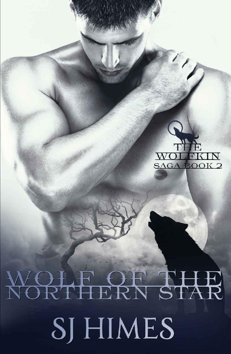 Wolf Of The Northern Star The Wolfkin Saga Book 2 Sj Himes