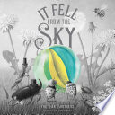 It Fell From The Sky Terry Fan Eric Fan