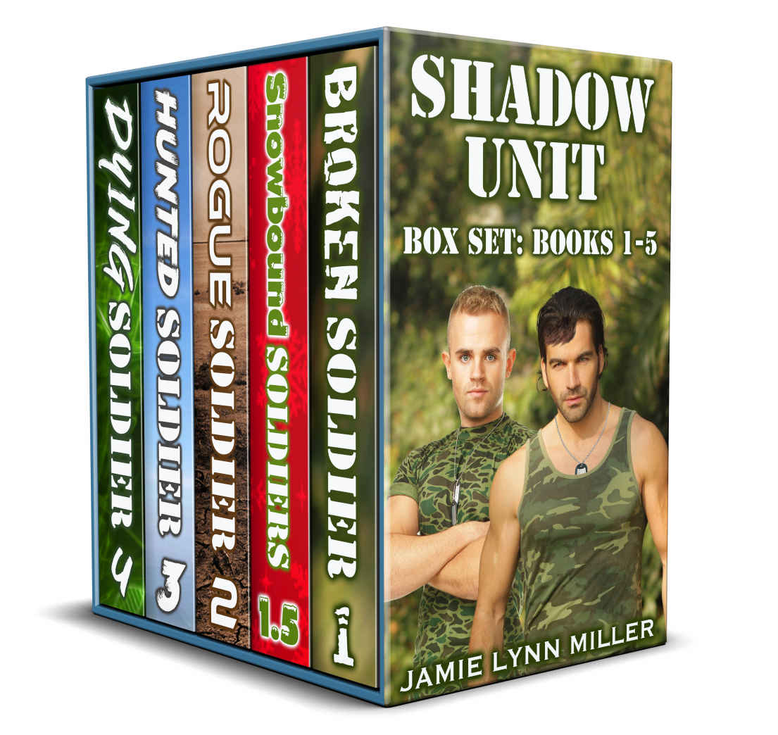 Shadow Unit Box Set Jamie Lynn Miller