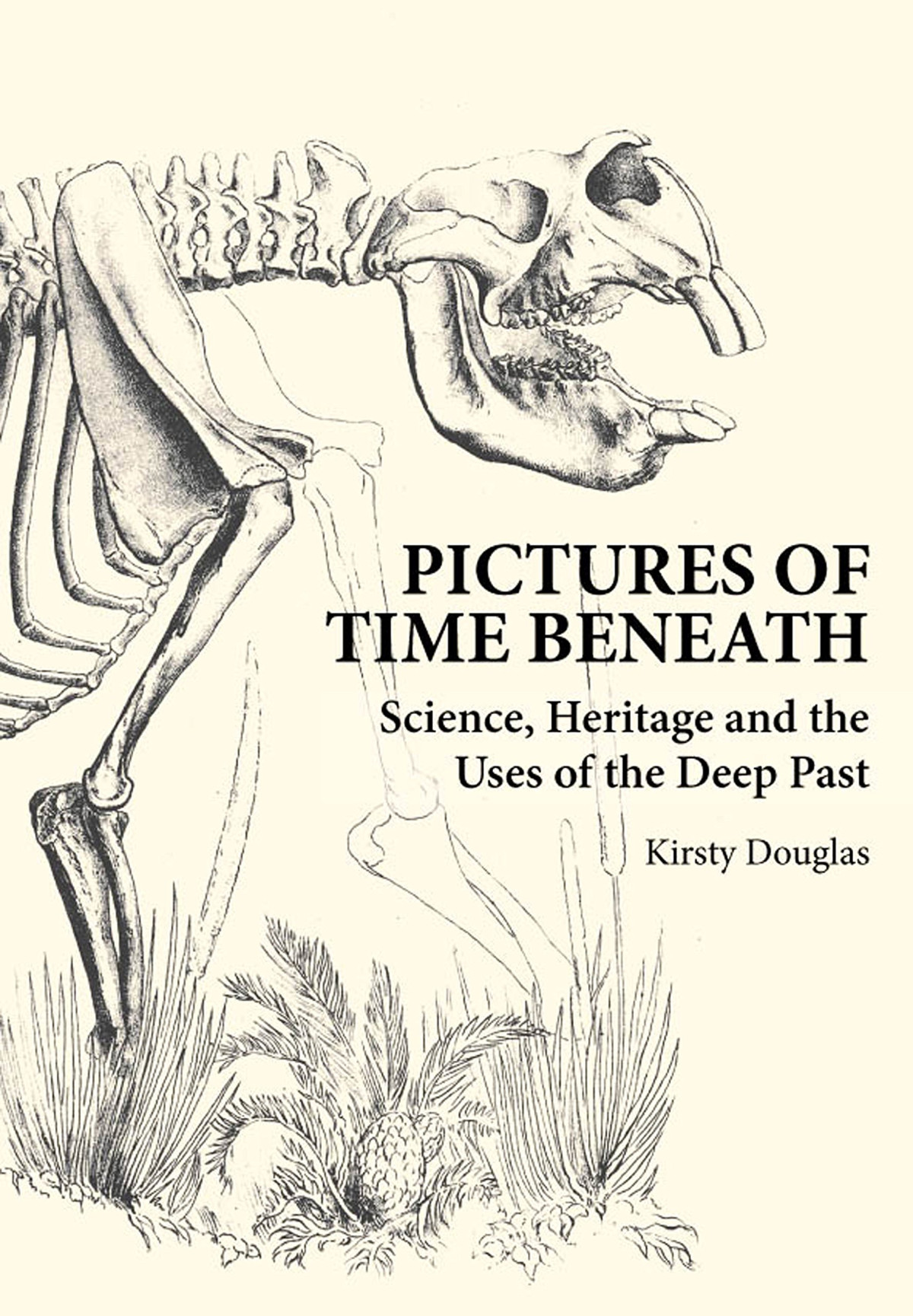 Pictures Of Time Beneath Science Heritage And The Uses Of The Deep Past Kirsty Douglas