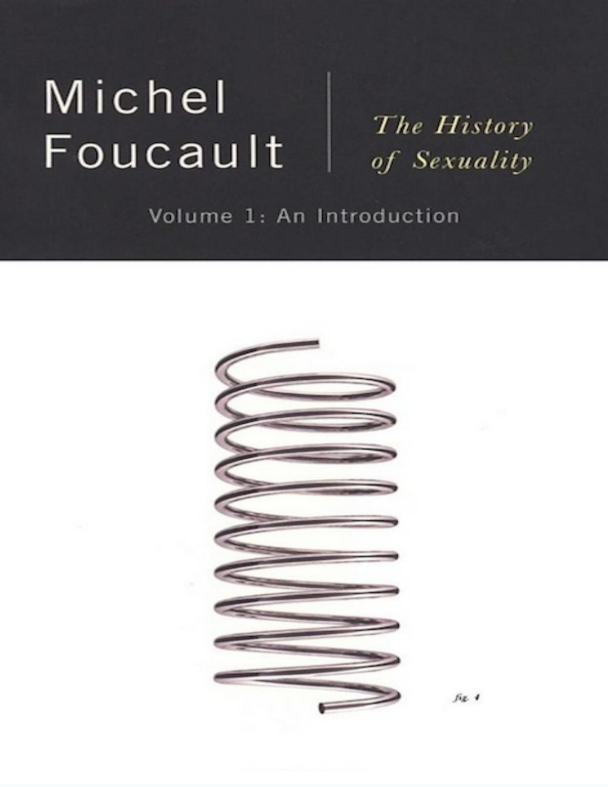 The History Of Sexuality Vol 1 An Introduction Michel Foucault