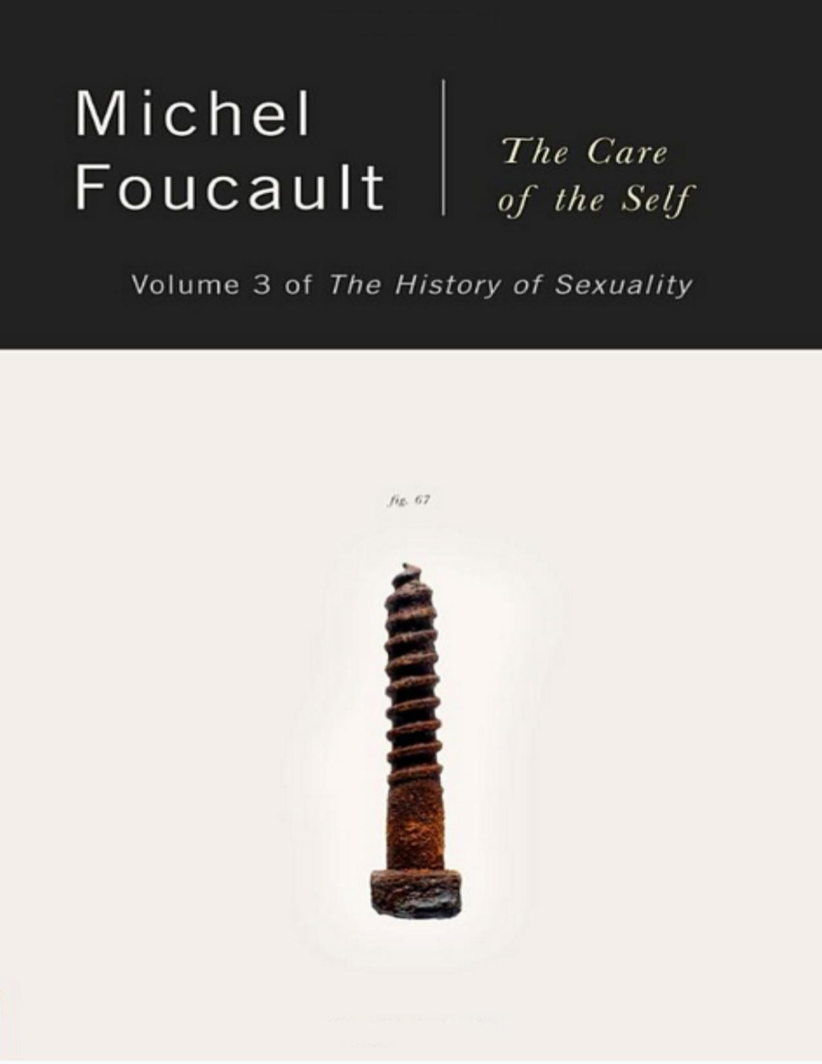 The History Of Sexuality Vol 3 The Care Of The Self 003 Vintage Foucault