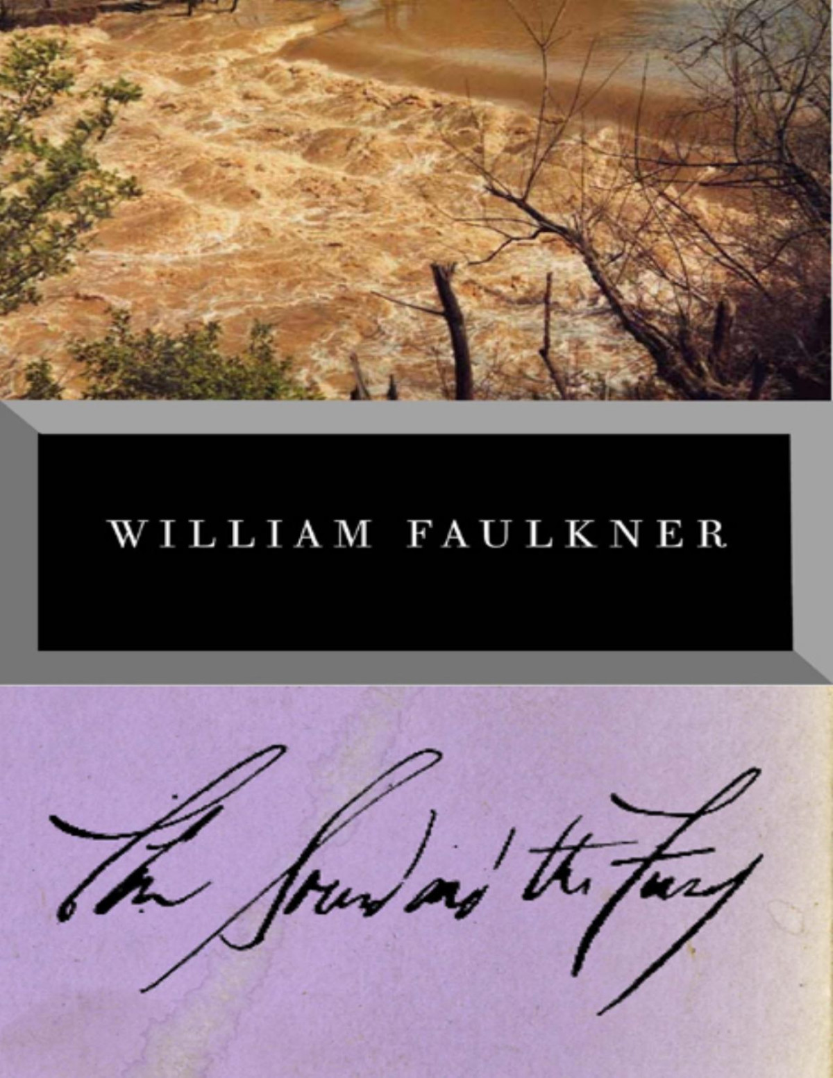 The Sound And The Fury William Faulkner