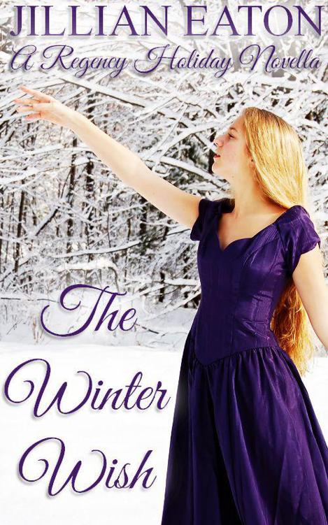 The Winter Wish Jillian Eaton