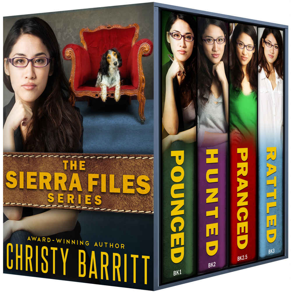 The Sierra Files Box Set Books 13 Plus A Bonus Christmas Novella Christy Barritt