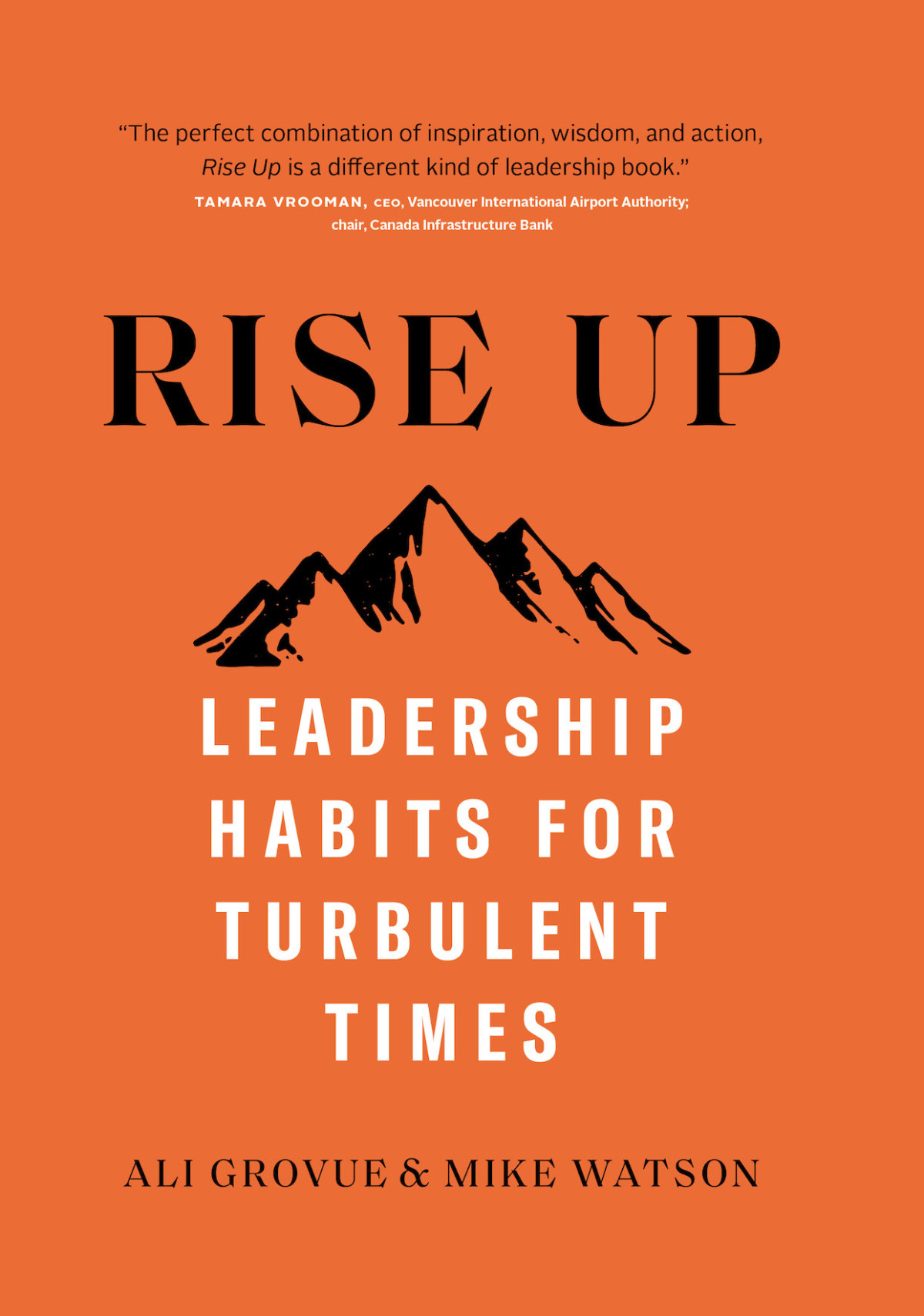 Rise Up Leadership Habits For Turbulent Times Ali Grovue Mike Watson