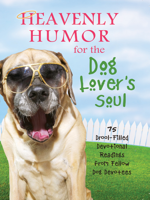 Heavenly Humor For The Dog Lovers Soul 75 Droolfilled Inspirational Readings From Fellow Dog Devotees Compiled By Barbour Staff
