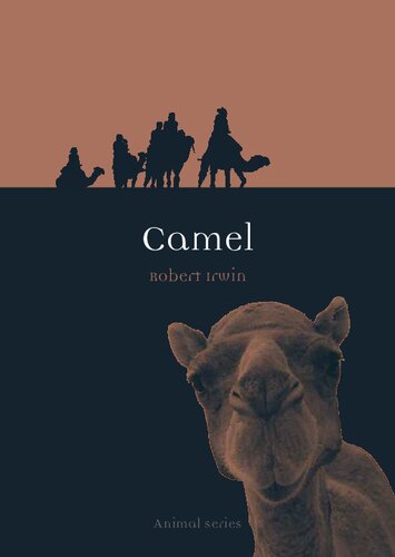 Camel Robert Irwin