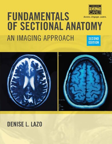 Fundamentals Of Sectional Anatomy An Imaging Approach 2nd Edition Denise Lazo