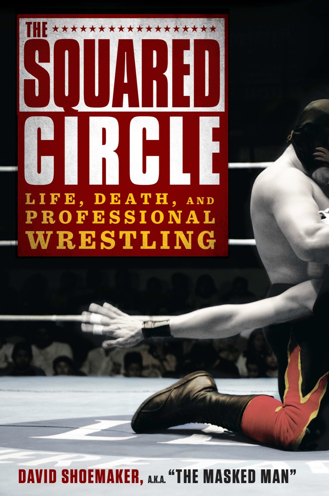 The Squared Circle David Shoemaker