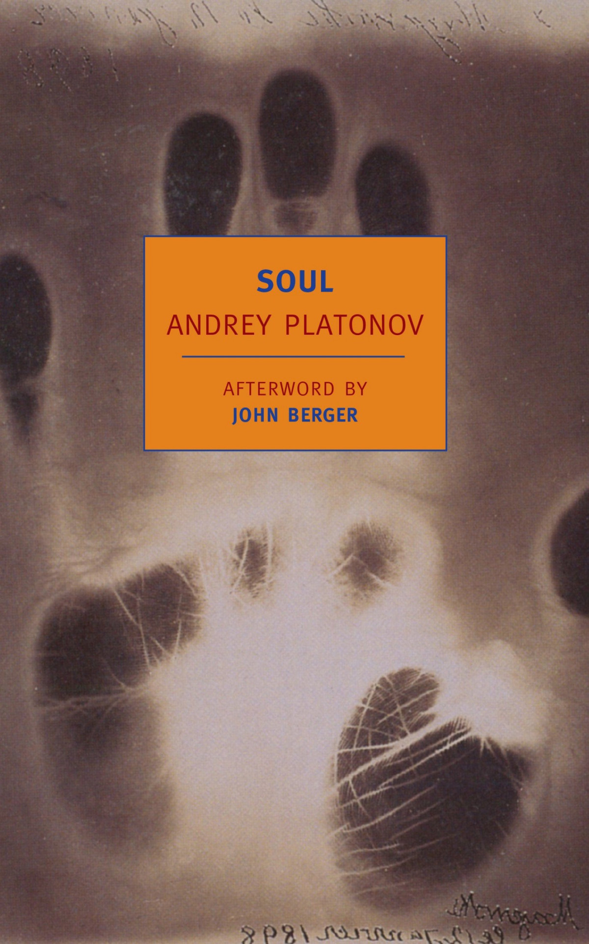 Soul And Other Stories Andrey Platonov