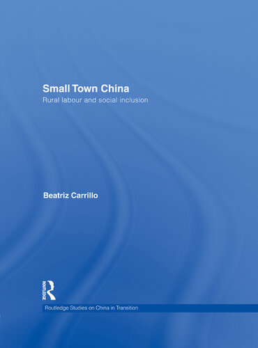 Small Town China Rural Labour And Social Inclusion Beatriz Carrillo Garcia