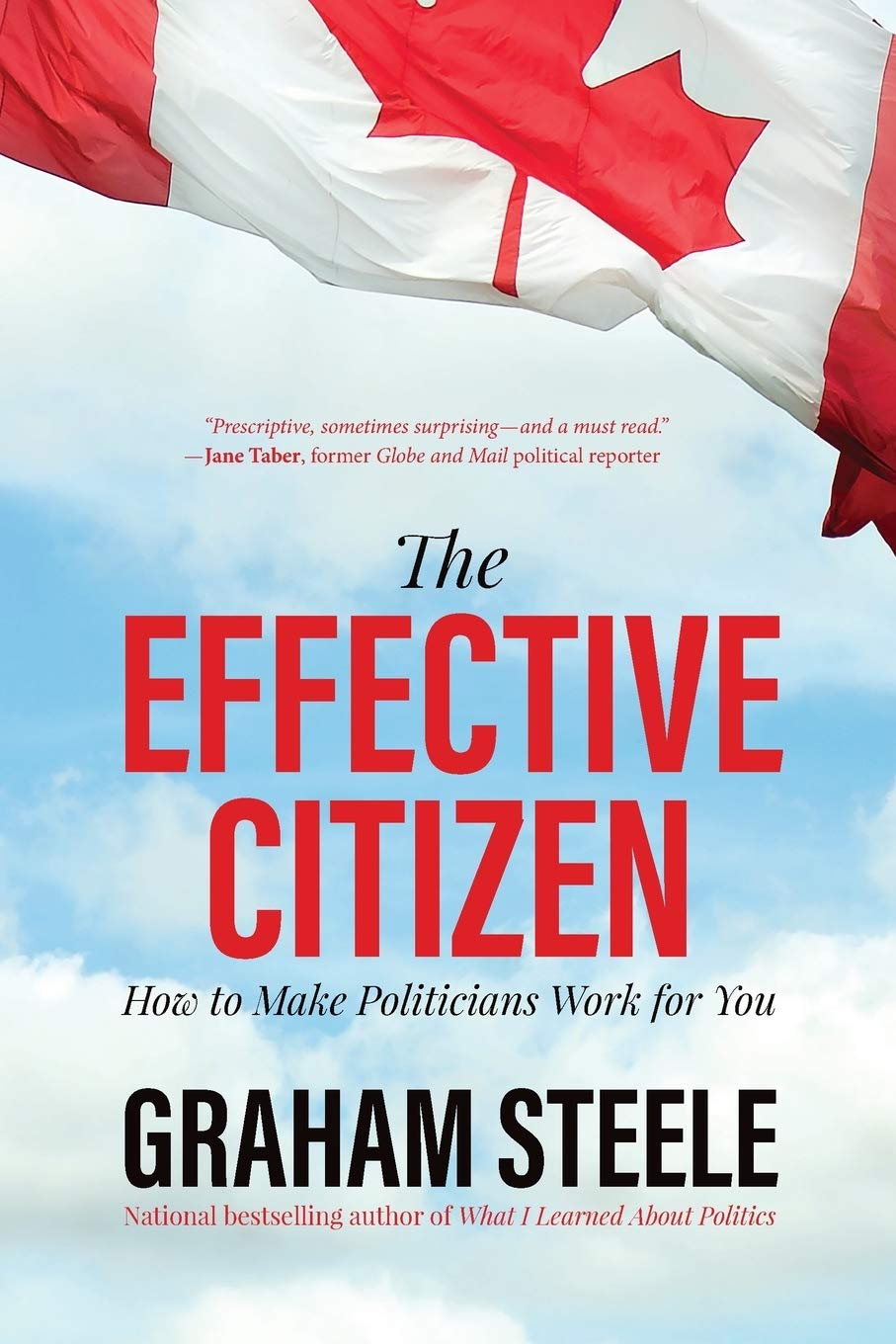The Effective Citizen How To Make Politicians Work For You Graham Steele