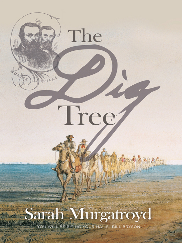 The Dig Tree Sarah Murgatroyd