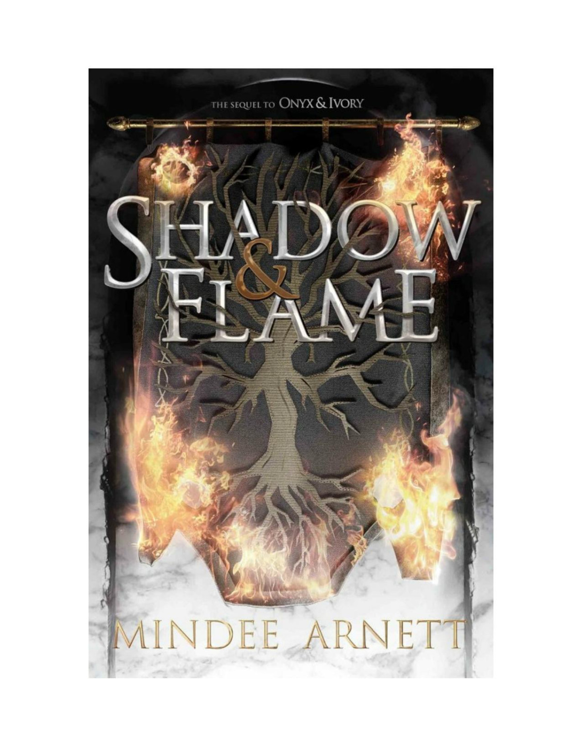 Shadow Flame Mindee Arnett