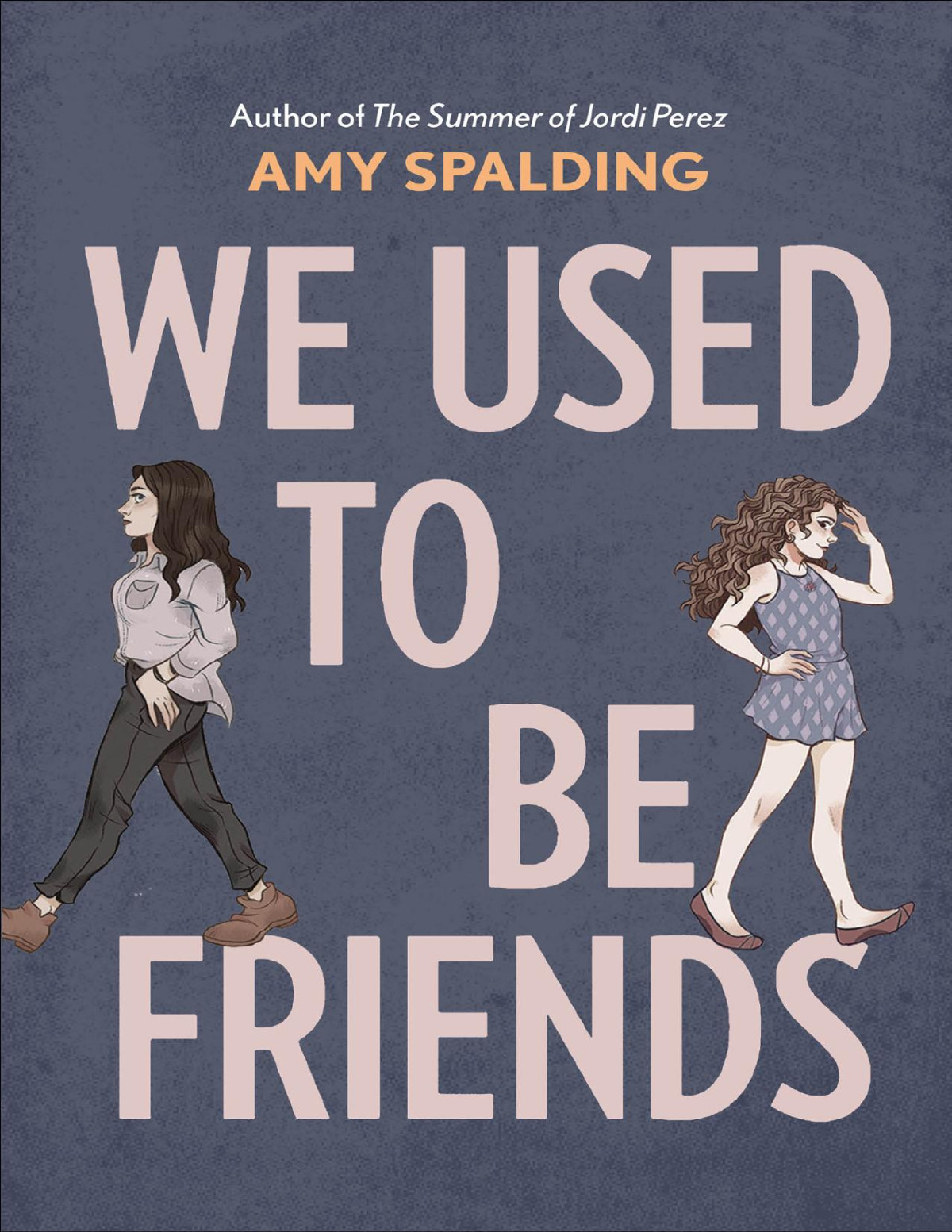 We Used To Be Friends Amy Spalding