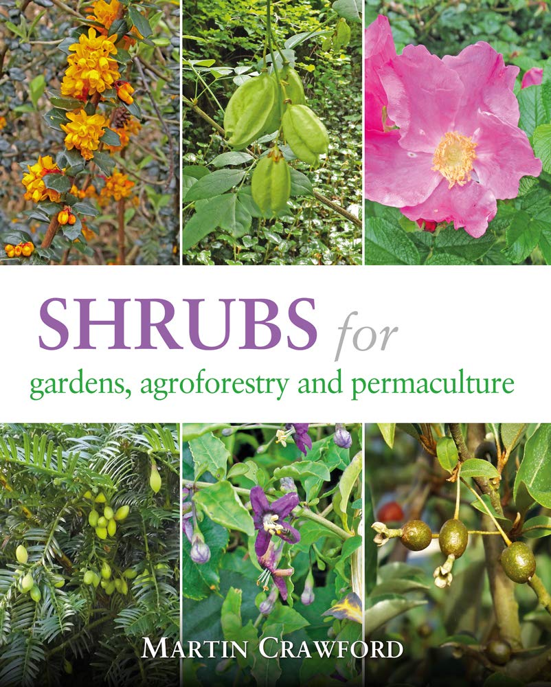 Shrubs For Gardens Agroforestry And Permaculture Martin Crawford