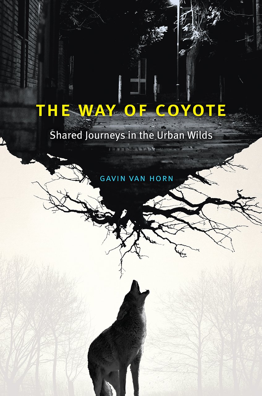 The Way Of Coyote 1st Edition Gavin Van Horn