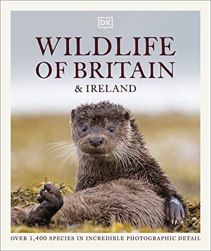 Wildlife Of Britain And Ireland Over 1400 Species In Incredible Photographic Detail Dk