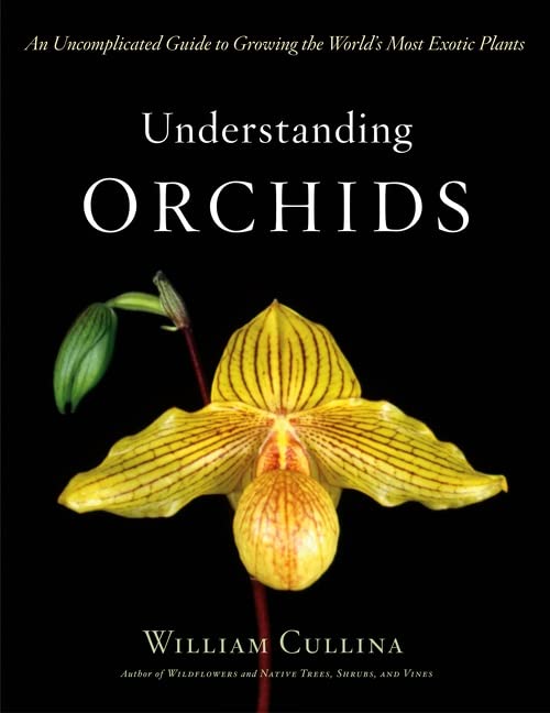 Understanding Orchids 1st Edition William Cullina