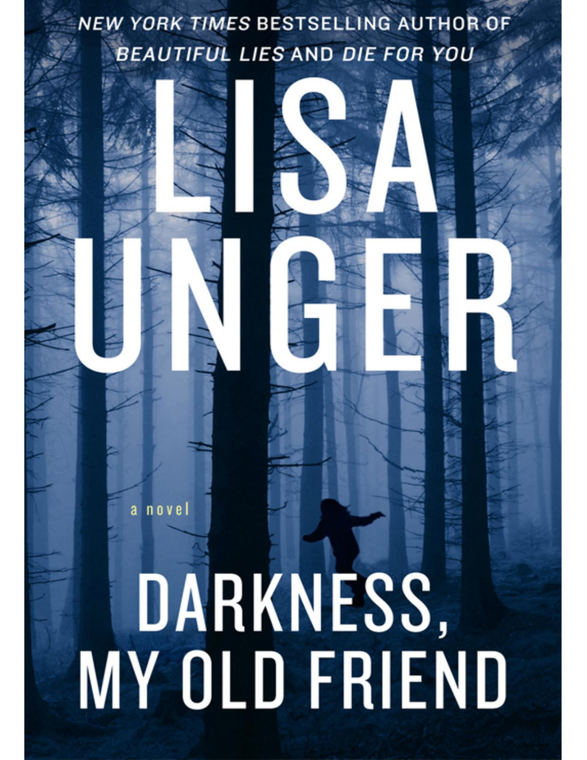 Darkness My Old Friend Lisa Unger