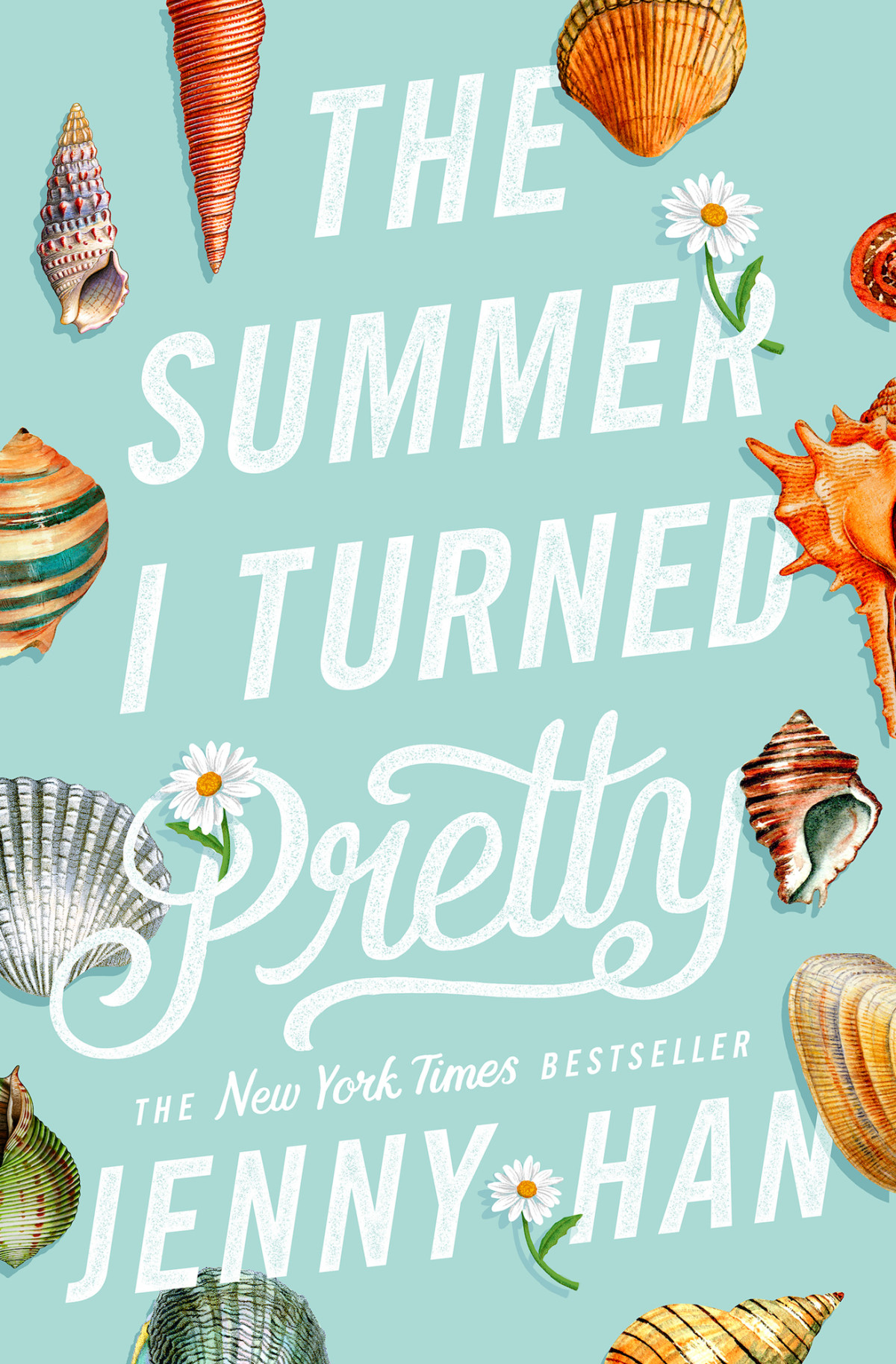 The Summer I Turned Pretty Jenny Han
