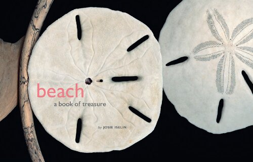 Beach Josie Iselin
